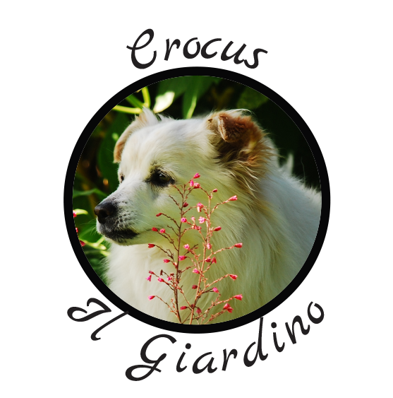 Il Giardino di Crocus